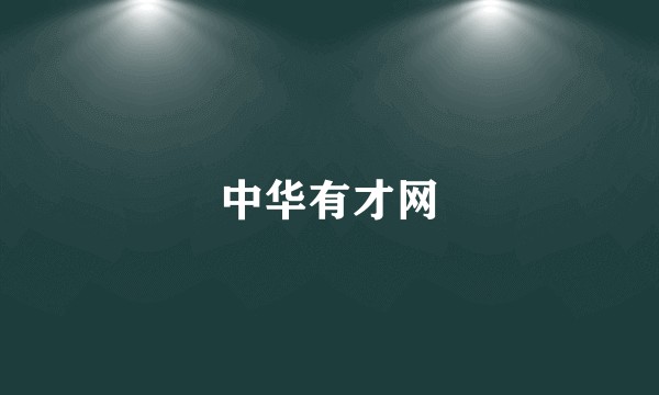 中华有才网