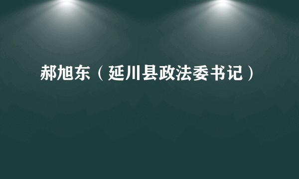 郝旭东（延川县政法委书记）