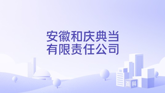 安徽和庆典当有限责任公司