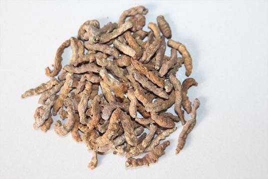 麸炒僵蚕