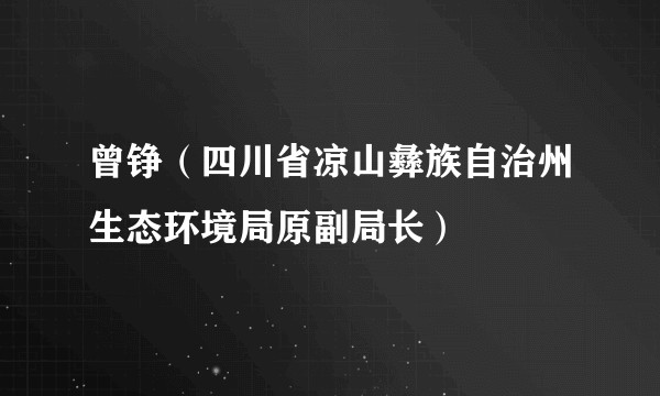 曾铮（四川省凉山彝族自治州生态环境局原副局长）