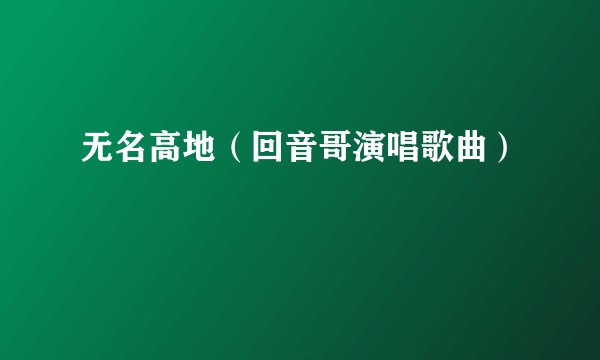 无名高地（回音哥演唱歌曲）