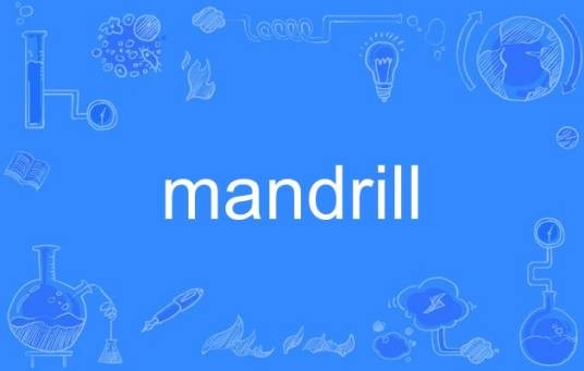 mandrill（指代西非山魈的英语单词）