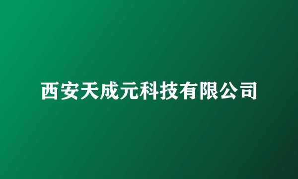 西安天成元科技有限公司