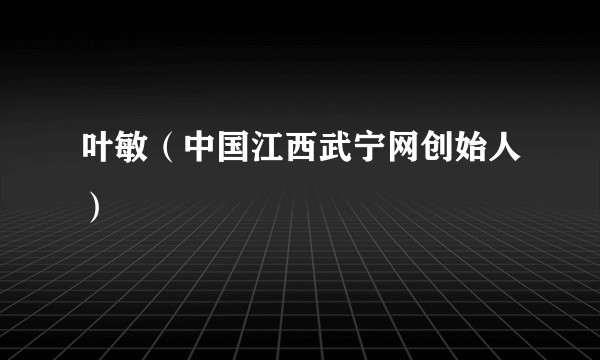 叶敏（中国江西武宁网创始人）