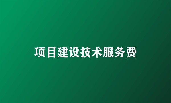 项目建设技术服务费