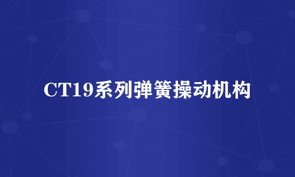 CT19系列弹簧操动机构