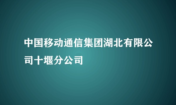 中国移动通信集团湖北有限公司十堰分公司