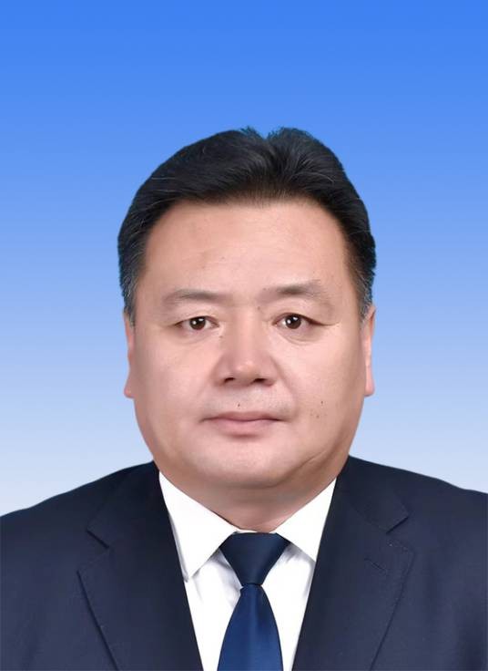 张雪峰（辽宁省阜新市新邱区委书记、区人武部党委第一书记）