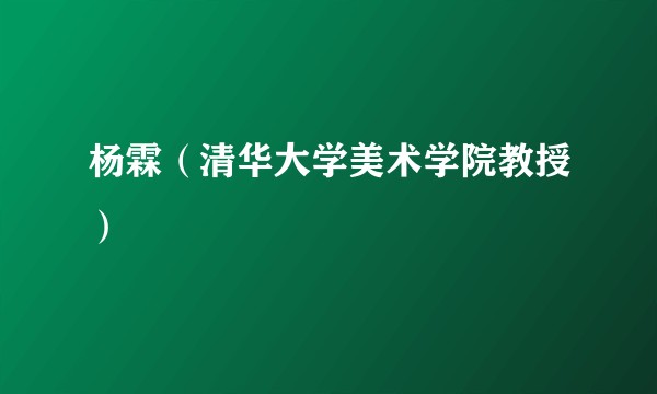 杨霖（清华大学美术学院教授）