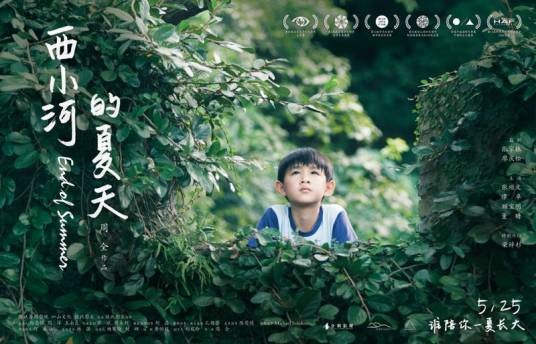 西小河的夏天