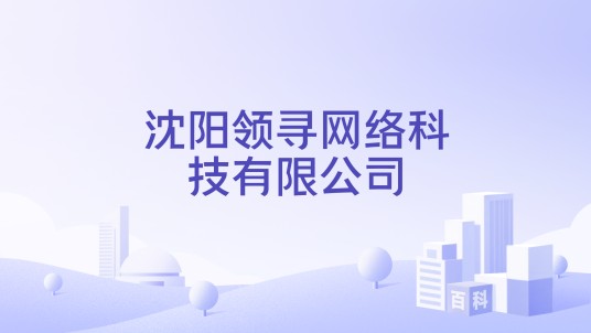 沈阳领寻网络科技有限公司