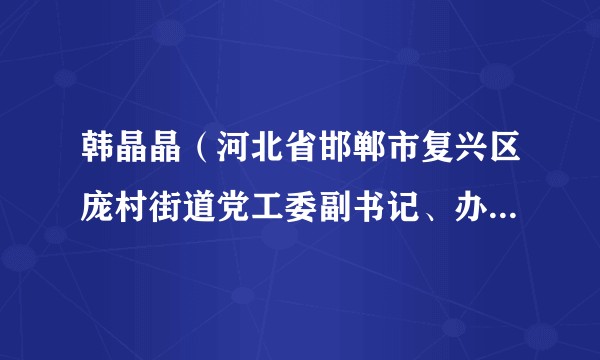 韩晶晶（河北省邯郸市复兴区庞村街道党工委副书记、办事处主任）