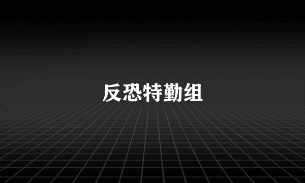 反恐特勤组