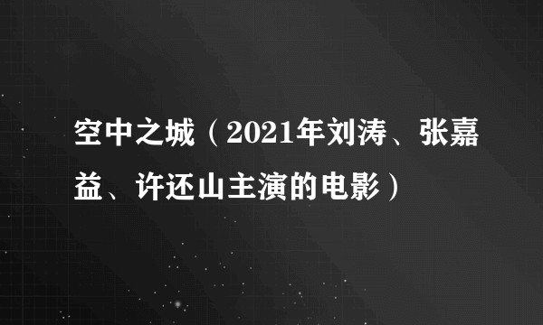 空中之城（2021年刘涛、张嘉益、许还山主演的电影）
