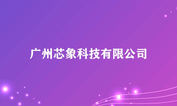 广州芯象科技有限公司