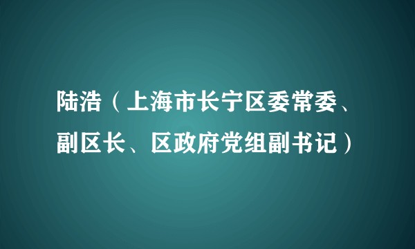 陆浩（上海市长宁区委常委、副区长、区政府党组副书记）
