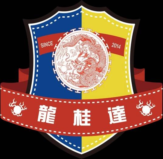 广西龙桂达足球俱乐部