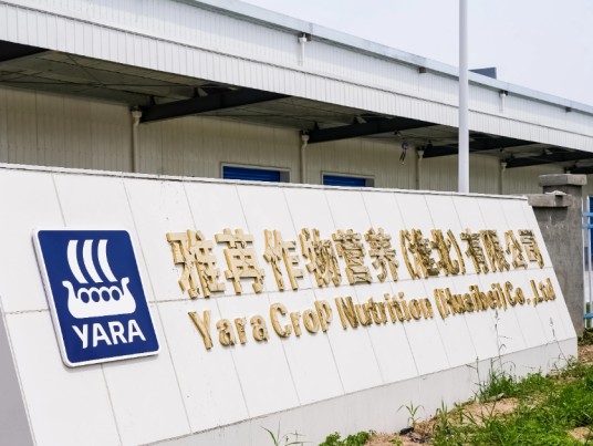 雅苒国际集团