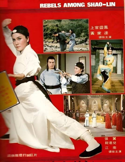 少林叛徒