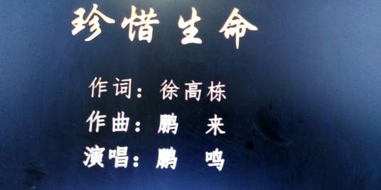 珍惜生命(鹏鸣演唱的歌曲)
