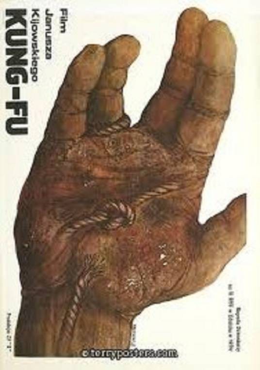 功夫(波兰1979年亚努什·吉约夫斯基执导的电影)
