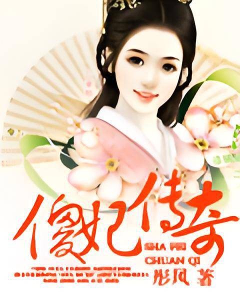 傻妃传奇