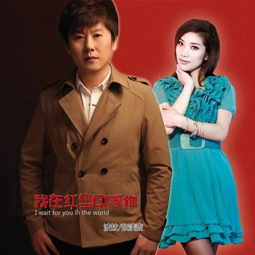 我在红尘中等你（波拉演唱的歌曲）