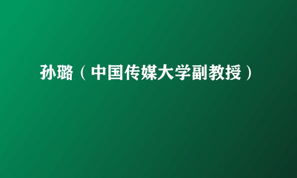 孙璐（中国传媒大学副教授）
