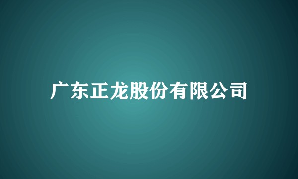 广东正龙股份有限公司