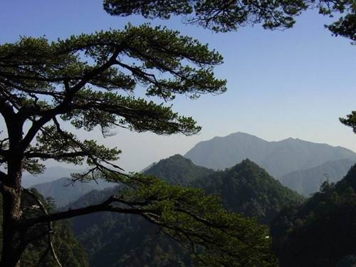 广东南岭国家森林公园
