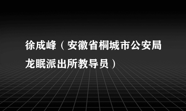徐成峰（安徽省桐城市公安局龙眠派出所教导员）
