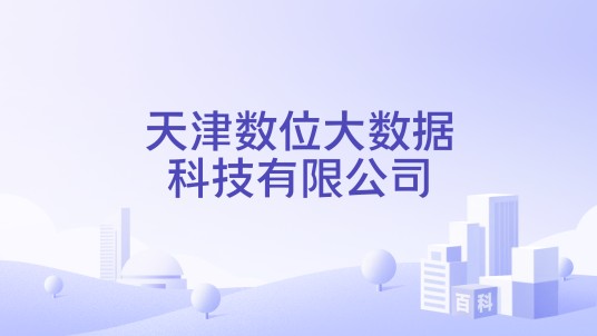 天津数位大数据科技有限公司