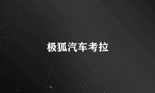 极狐汽车考拉