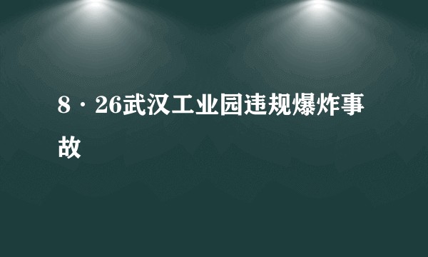 8·26武汉工业园违规爆炸事故