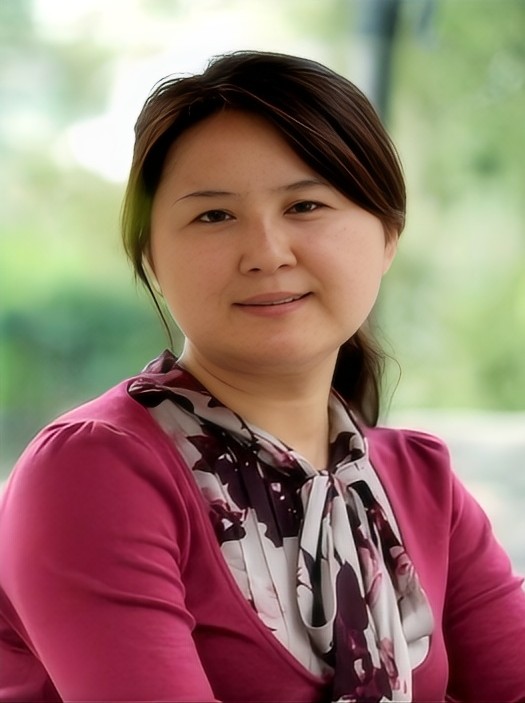 吕艳（长安大学地质工程与测绘学院教授）