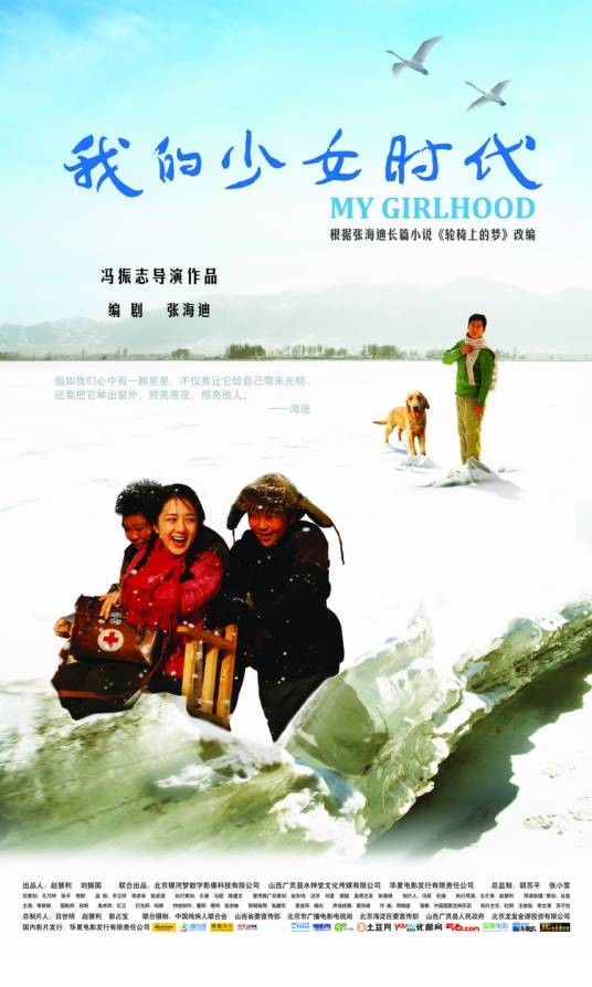 我的少女时代(2011年冯振志导演电影)