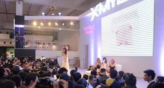 2013年上海国际成人展