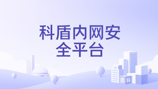 科盾内网安全平台