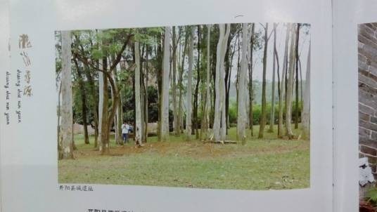 开阳县（中国广东省云浮市罗定市境内古县）