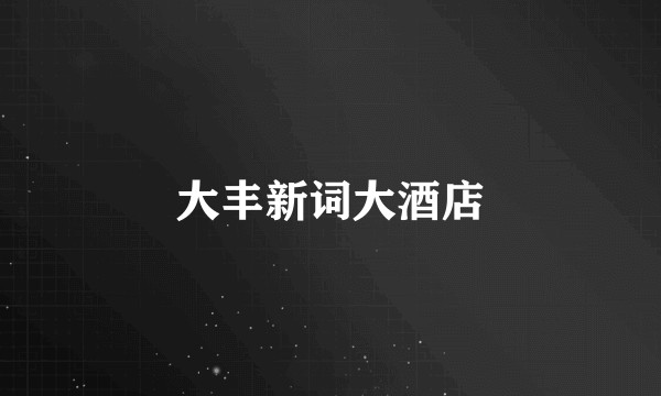 大丰新词大酒店