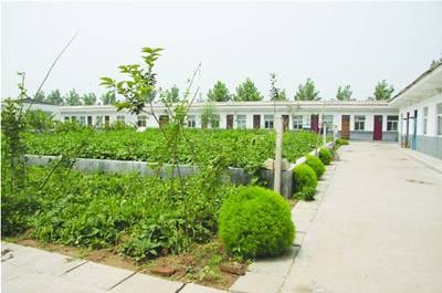 李集镇（河南省商丘市夏邑县下辖镇）