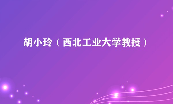 胡小玲（西北工业大学教授）