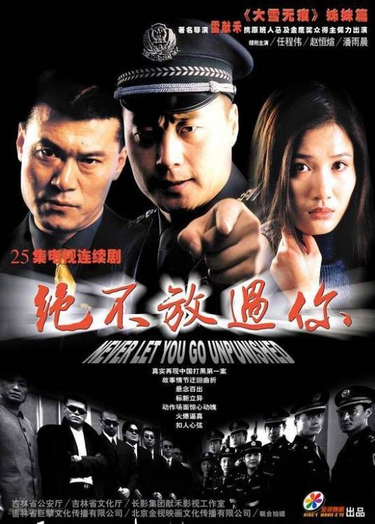 绝不放过你（2002年康宁、雷献禾执导的刑侦剧）