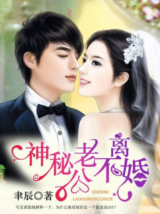神秘老公不离婚（聿辰创作的现代言情网络小说）