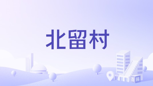 北留村（山东省济南市莱芜区羊里街道下辖村）