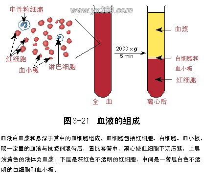血浆渗透压