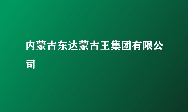 内蒙古东达蒙古王集团有限公司