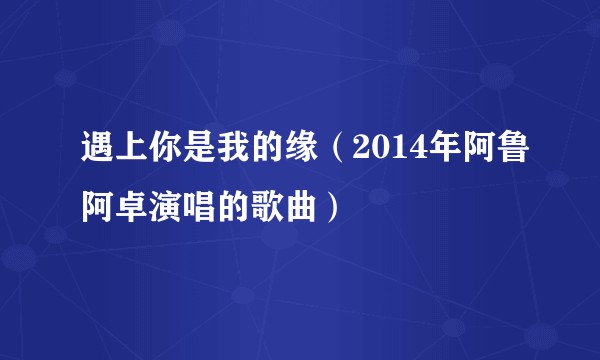 遇上你是我的缘（2014年阿鲁阿卓演唱的歌曲）