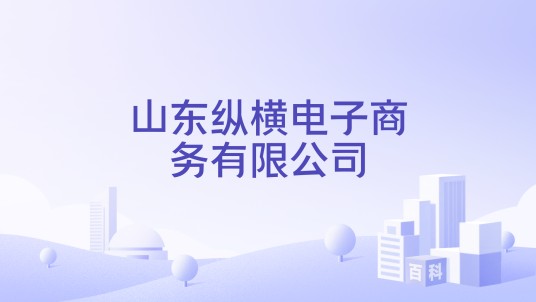 山东纵横电子商务有限公司